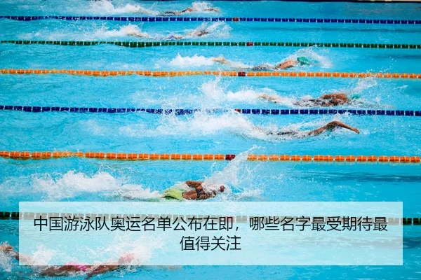 中国游泳队奥运名单公布在即，哪些名字最受期待最值得关注