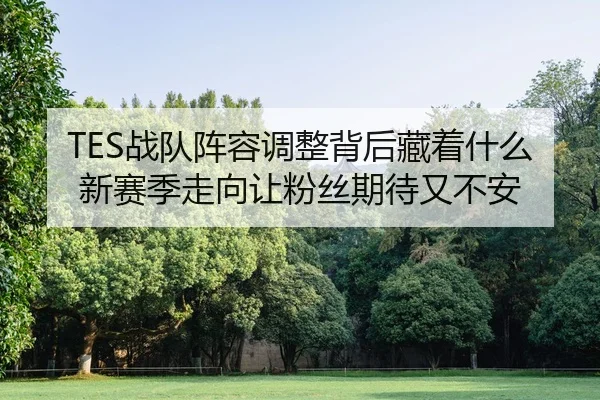 TES战队阵容调整背后藏着什么 新赛季走向让粉丝期待又不安